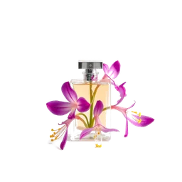 Note olfactive de cœur fèves de freesia dans le parfum Luiza By Luiza Brunet