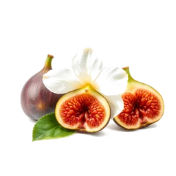 Pictogramme ingrédient olfactif : Fig Blossom