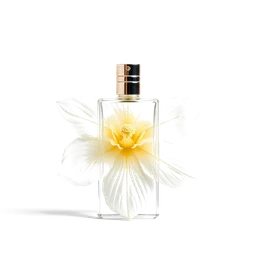 Note olfactive de cœur fleur de carthame dans le parfum Chicane