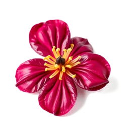 Note olfactive de tête fleur de cassis dans le parfum Le Temps Des Secrets