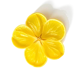 Note olfactive de cœur fleur de citron dans le parfum Believe