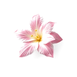 Note olfactive de cœur fleur de noisetier dans le parfum Hearts Silver