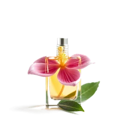 Note olfactive de cœur fleur dolive dans le parfum Armani Code