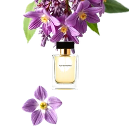 Note olfactive de tête fleurs de wistaria dans le parfum Cherry Blossom