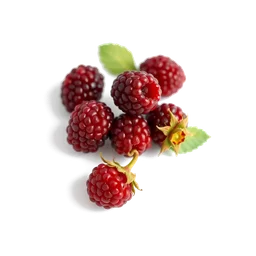 Note olfactive de tête framboise dans le parfum Passion Temptation