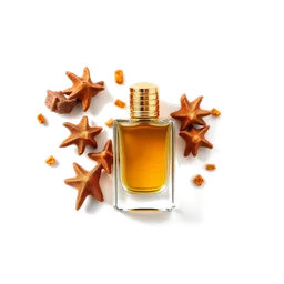 Note olfactive de fond frankincense dans le parfum Black Lava