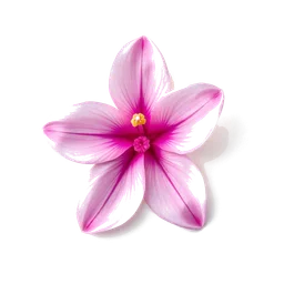 Pictogramme ingrédient olfactif : Freesia Petals