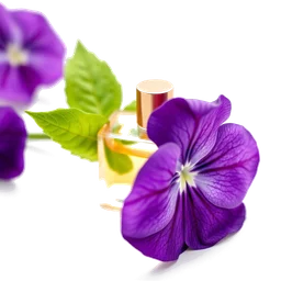 Note olfactive de cœur french violet dans le parfum Fahrenheit Cologne