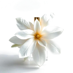 Note olfactive de cœur gardenie.indonésienne dans le parfum Vol De Nuit