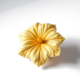 Pictogramme ingrédient olfactif : Ginger flower