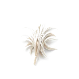 Note olfactive de fond Goat Hair dans le parfum Transhumanta - Sheperd's Potion