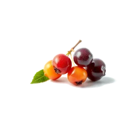 Pictogramme ingrédient olfactif : Goldenberry