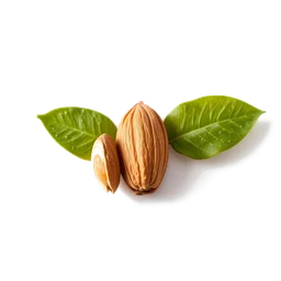 Pictogramme ingrédient olfactif : Green Almond