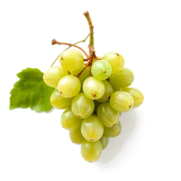 Pictogramme ingrédient olfactif : Green Grape