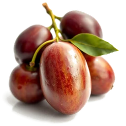Note olfactive de cœur greengage dans le parfum Mexx Whenever Wherever For Her