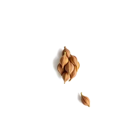Pictogramme ingrédient olfactif : Guatemalan Cardamom
