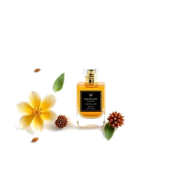 Note olfactive de fond Gurjun Balsam dans le parfum Acer