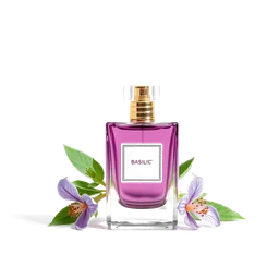 Note olfactive de tête israélien basilic dans le parfum Colors De Benetton