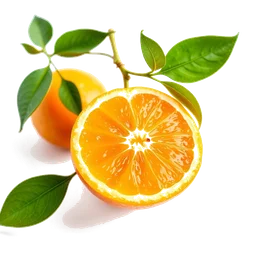 Pictogramme ingrédient olfactif : Italian Tangerine