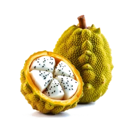 Pictogramme ingrédient olfactif : Jackfruit