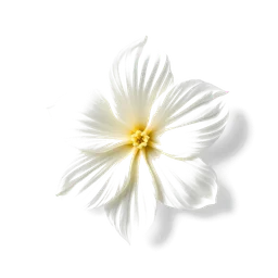 Pictogramme ingrédient olfactif : Jasmine Leaf