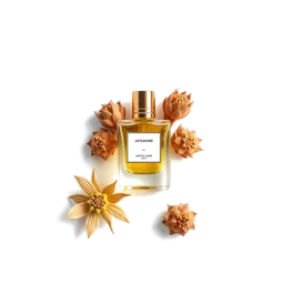 Note olfactive de fond Jatamansi or Spikenard dans le parfum Gris Sultani