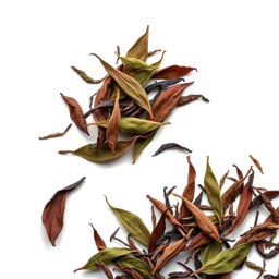 Note olfactive de cœur Jin Xuan tea leaves dans le parfum Sprouting, Lingering