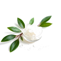 Pictogramme ingrédient olfactif : Jojoba