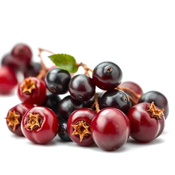 Pictogramme ingrédient olfactif : Lingonberry