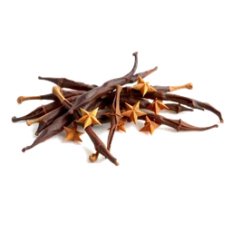 Pictogramme ingrédient olfactif : Madagascar Cloves