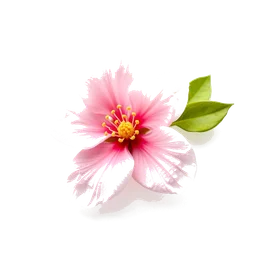 Pictogramme ingrédient olfactif : Mandarin Blossom