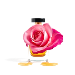 Note olfactive de cœur miel de rose dans le parfum Monday No Drama Allowed