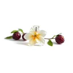 Note olfactive de tête mirabelle dans le parfum De Los Santos