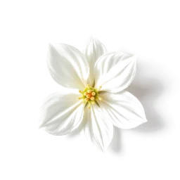 Note olfactive de cœur nuit fleurie jasmine dans le parfum Gucci Bloom Intense
