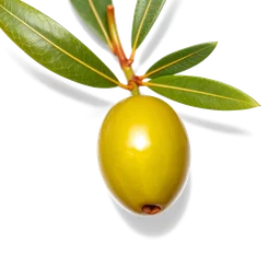 Note olfactive de cœur olive dans le parfum Python Uomo
