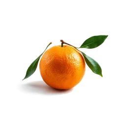 Note olfactive de tête orange sauvage dans le parfum La Tacita De Cafe
