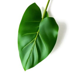 Pictogramme ingrédient olfactif : Pandan Leaf