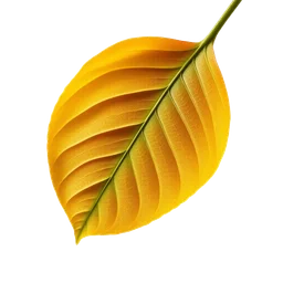 Pictogramme ingrédient olfactif : Peach Leaf