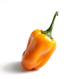 Pictogramme ingrédient olfactif : Peruvian Pepper