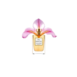 Note olfactive de tête pétales_diris dans le parfum Blanc De Courreges