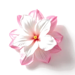 Pictogramme ingrédient olfactif : Pink Jasmine