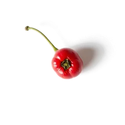 Pictogramme ingrédient olfactif : Pink Pepper