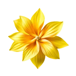 Note olfactive de fond Pinwheel Flower dans le parfum Little Black Dress Eau de Parfum