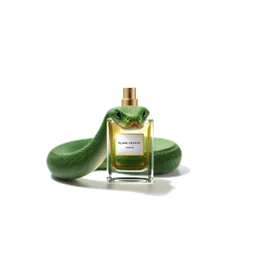 Note olfactive de fond plante de serpent dans le parfum Jazmin Yucatan