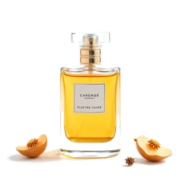 Note olfactive de fond plâtre humide dans le parfum Monserrat