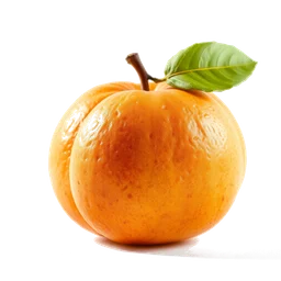 Note olfactive de tête pomme givrée dans le parfum Boss Bottled Marine