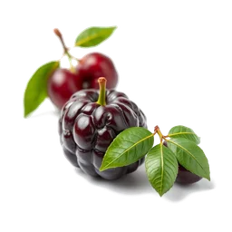 Note olfactive de tête prune de terre dans le parfum Lovely U