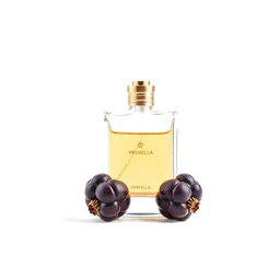Note olfactive de tête prunella dans le parfum Papavero Soave