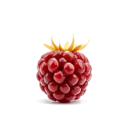 Pictogramme ingrédient olfactif : Raspberry Bloom
