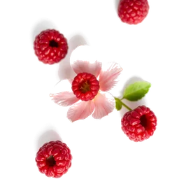 Note olfactive de tête Raspberry Blossom dans le parfum Velvet Touch
